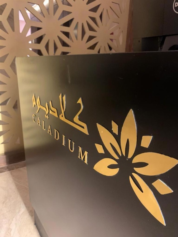فندق كلاديوم image 3